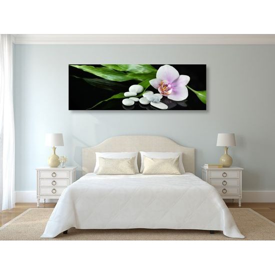 Obraz liečivá príroda