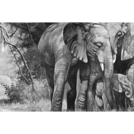 Obraz čiernobiela rodina slona