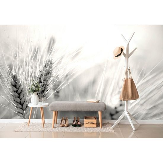 Očarujúca samolepiaca fototapeta detail pšenice v čiernobielom prevedení