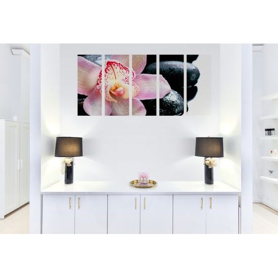 5-dielny obraz ružový kvet orchidei