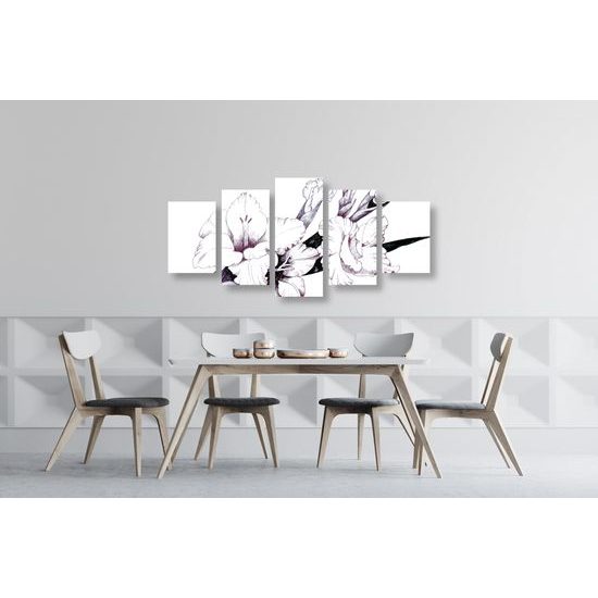 5-dielny obraz minimalistická ilustrácia gladioly