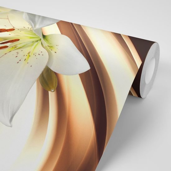 Tapeta krásna biela ľalia na bielom pozadí