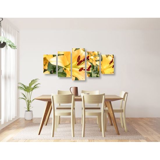 5-dielny obraz nežná žltá ľalia
