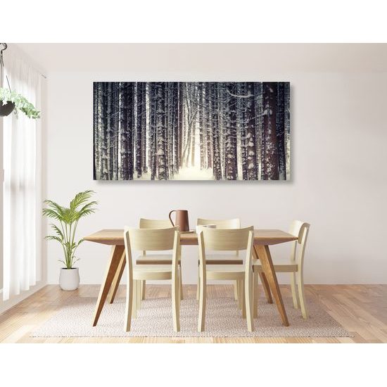 Obraz les v zimnom období