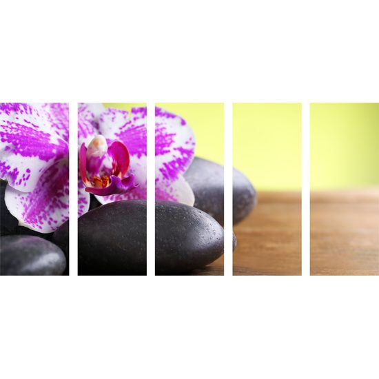5-dielny obraz zaujímavo sfarbená orchidea a Zen kamene