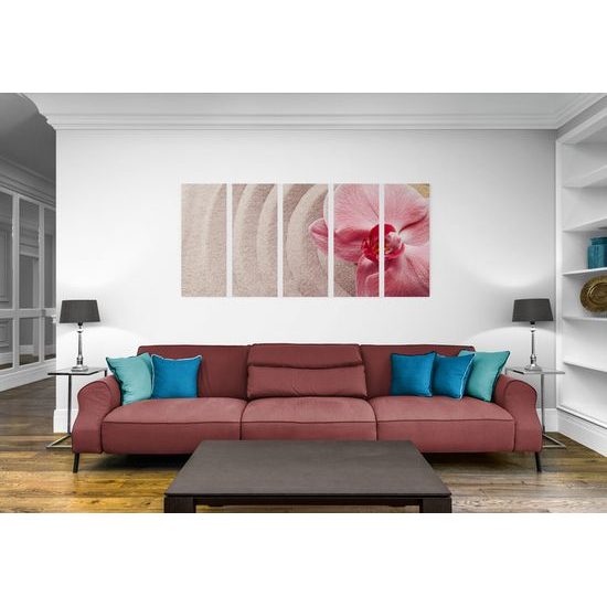 5-dielny obraz ružová orchidea v Zen zátiší