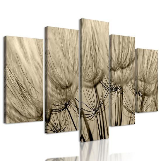 5-dielny obraz presný detail púpavy v sépiovom prevedení