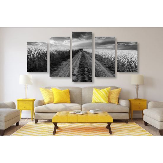 5-dielny obraz cesta v strede poľa v čiernobielom prevedení
