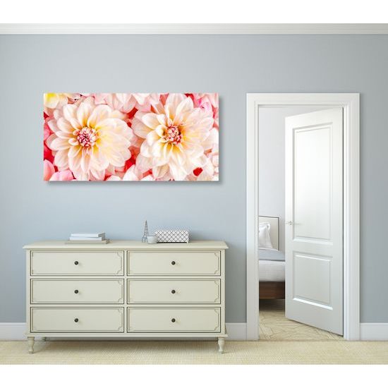 Obraz jemné rozkvitnuté dálie