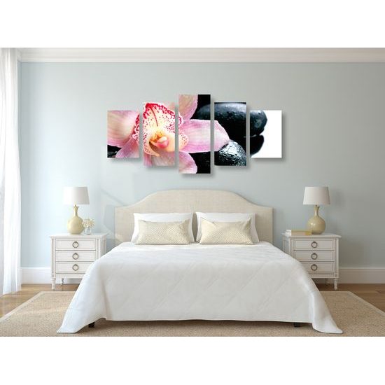 5-dielny obraz ružový kvet orchidei