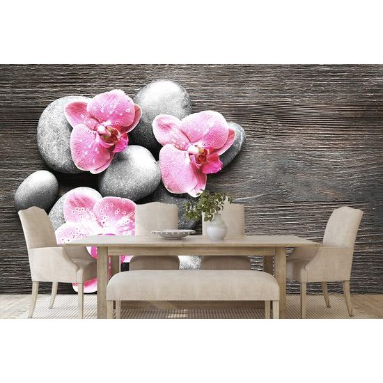 Fototapeta ružové kvety orchidey s kameňmi