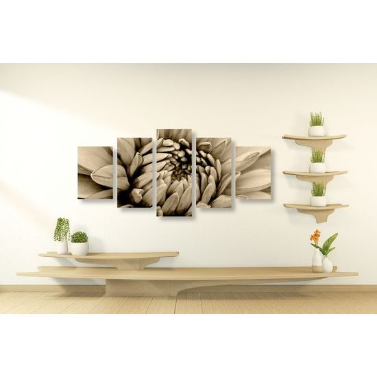 5-dielny obraz perfektný detail na kvet dálie v sépiovom prevedení