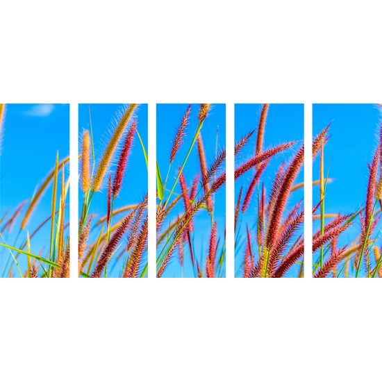 5-dielny obraz lúka pod šírim nebom