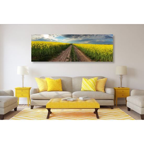 Obraz cesta v strede poľa