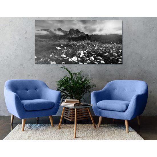 Obraz rozkvitnutá lúka v čiernobielom prevedení