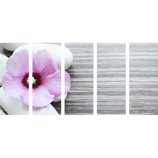 5-dielny obraz nádherný kontrast medzi kvetom a kameňmi