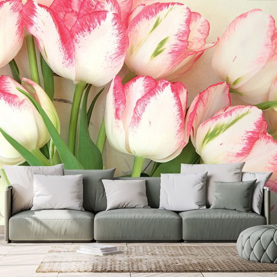 Jedinečná fototapeta romantické tulipány