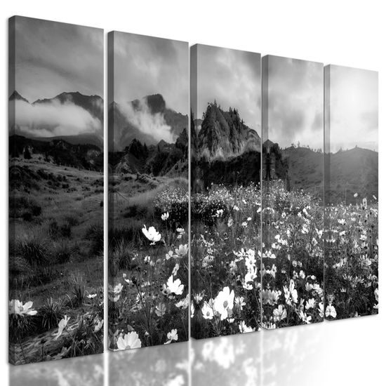 5-dielny obraz rozkvitnutá lúka v čiernobielom prevedení