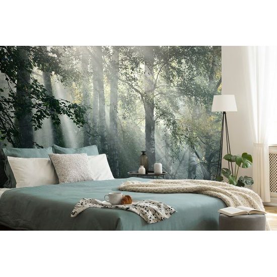 Samolepiaca fototapeta lúče slnka v lese