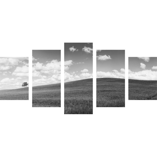 5-dielny obraz slnečný deň na lúke v čiernobielom prevedení