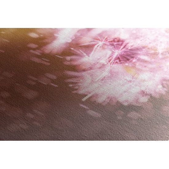 Obraz zaujimavá abstrakcia púpavy