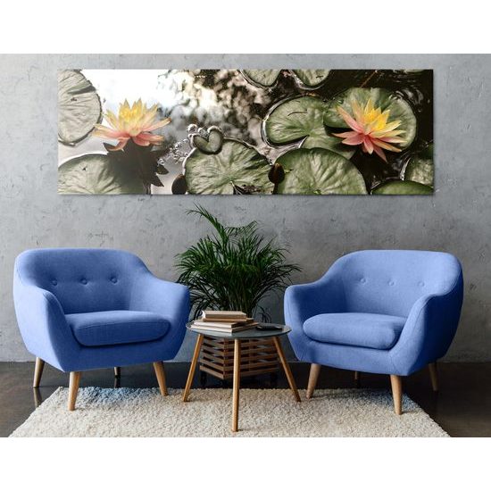 Obraz lekná v záhradnom jazierku