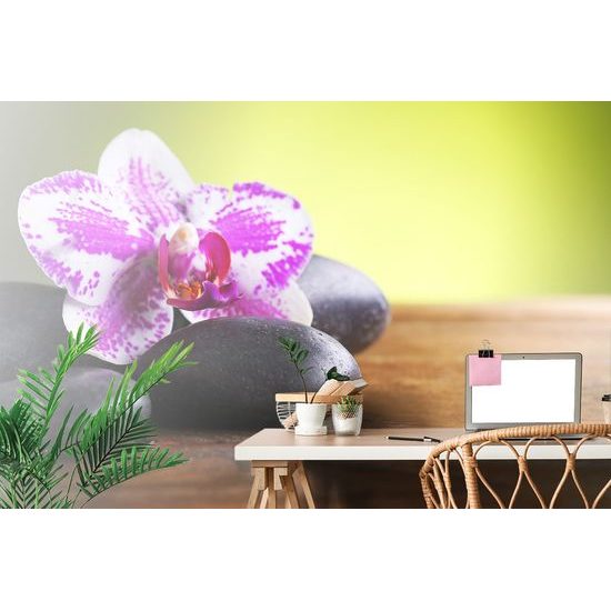 Samolepiaca fototapeta zen kamene s orchideou