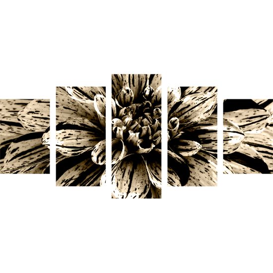 5-dielny obraz ohromná dália v sépiovom prevedení