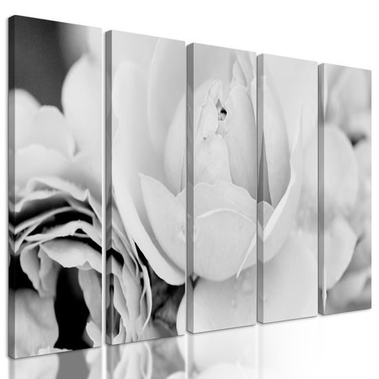5-dielny obraz pôvabné ruže v čiernobielom prevedení