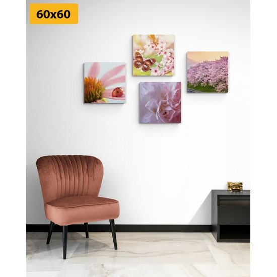 Set obrazov nežnosť prírody