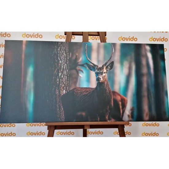 Obraz stretnutie s jeleňom