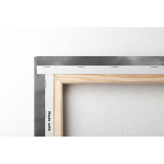 Obraz tajný ostrov v čiernobielom prevedení