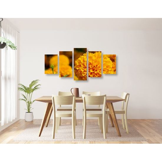 5-dielny obraz oranžový nechtík