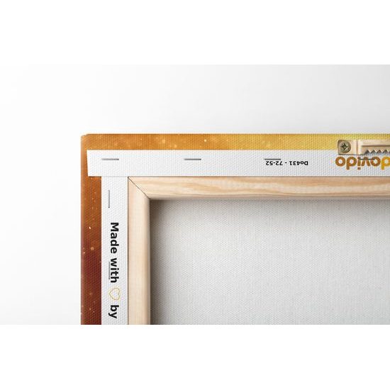 Obraz Buddha pri lotosových kvetoch