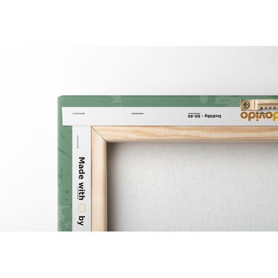 Obraz zelená Mandala s abstraktnými prvkami