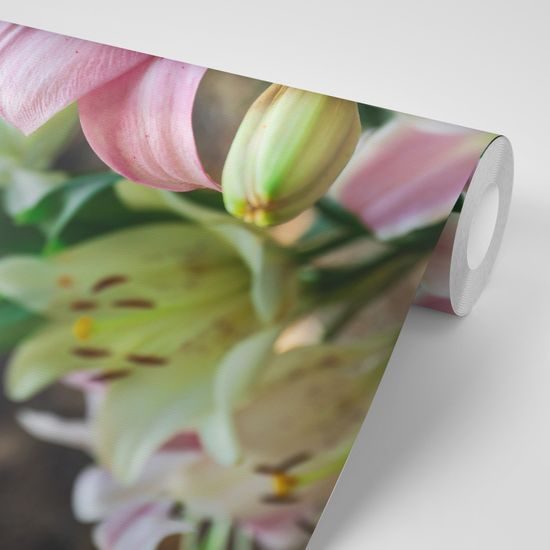 Fototapeta rozkvitnutá ľalia sfarbená do ružova