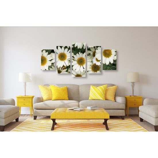 5-dielny obraz liečivý rumanček