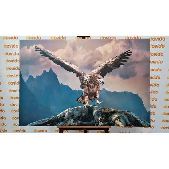 Obraz impozantný orol nad horami