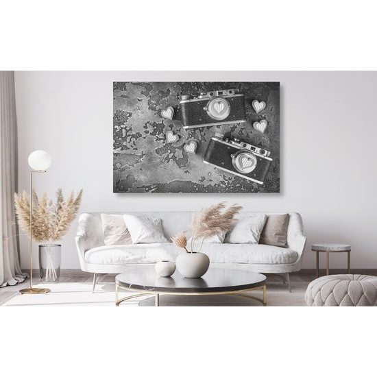 Obraz dva čiernobiele historické fotoaparáty so srdiečkami