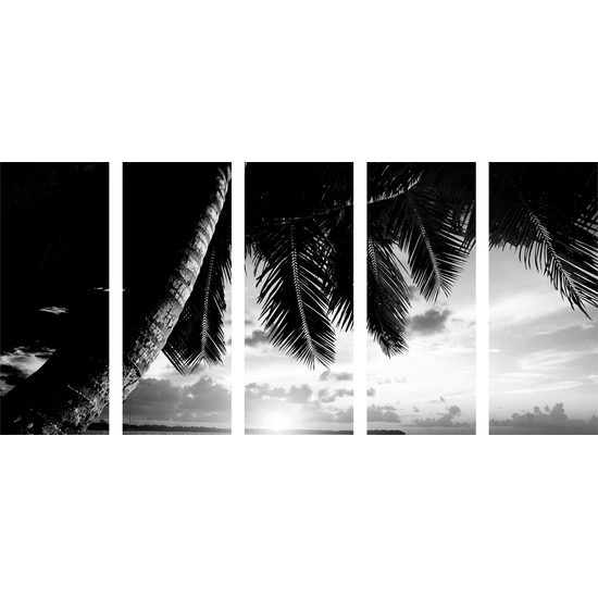 5-dielny obraz čiernobiely východ slnka v tropickom raji