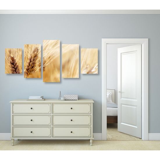 5-dielny obraz detail pšenice