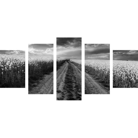 5-dielny obraz cesta v strede poľa v čiernobielom prevedení