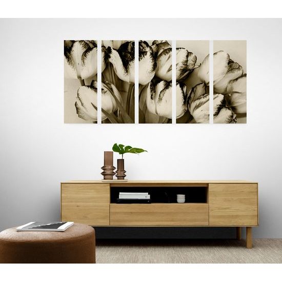 5-dielny obraz rozkvitnuté tulipány v sépiovom prevedení