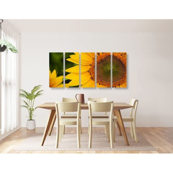 5-dielny obraz detail slnečnice