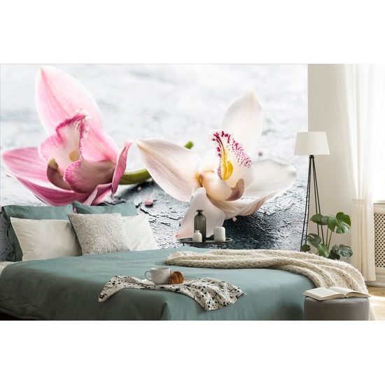 Samolepiaca fototapeta romantické kvety divokej orchidey