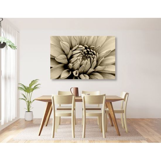 Obraz perfektný detail na kvet dálie v sépiovom prevedení
