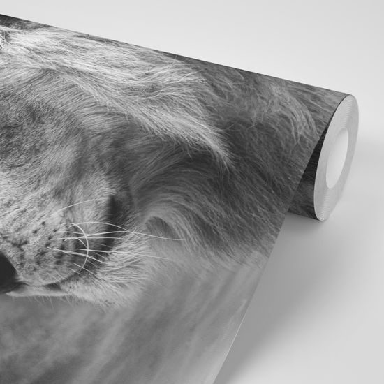 Samolepiaca fototapeta čiernobiela hlava leva