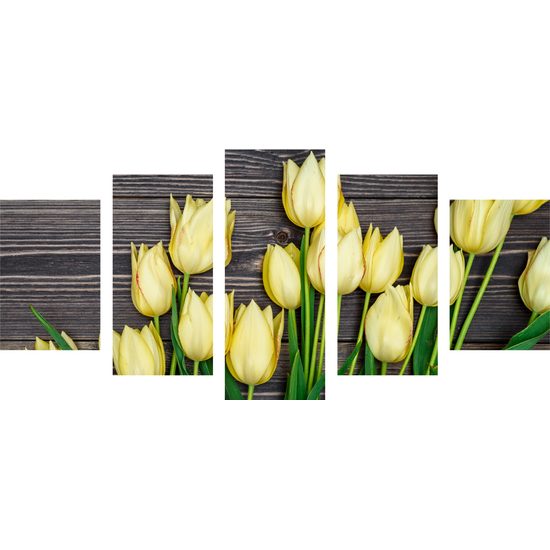 5-dielny obraz tulipány v jarnej záhrade