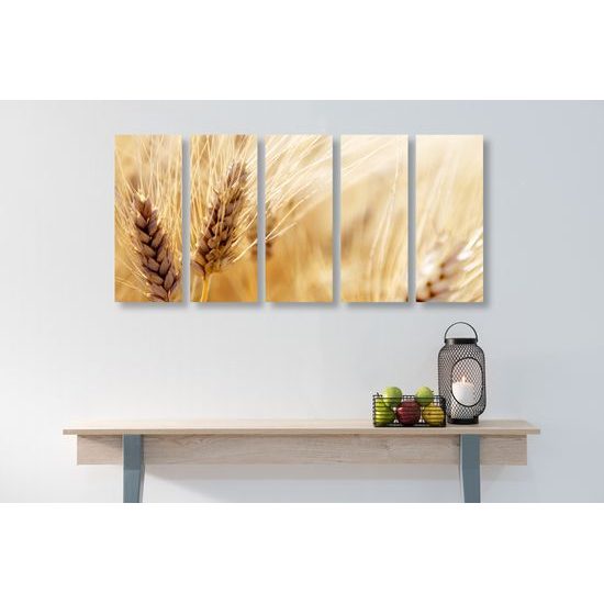 5-dielny obraz detail pšenice