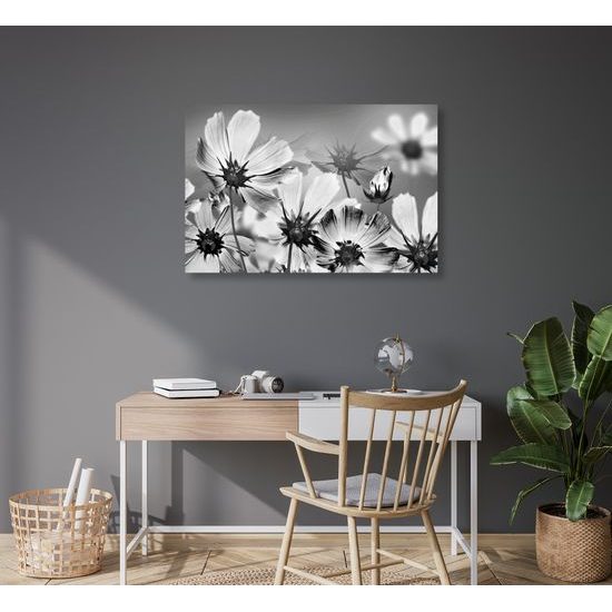 Obraz záhrada rozkvitnutých kvetov v čiernobielom prevedení